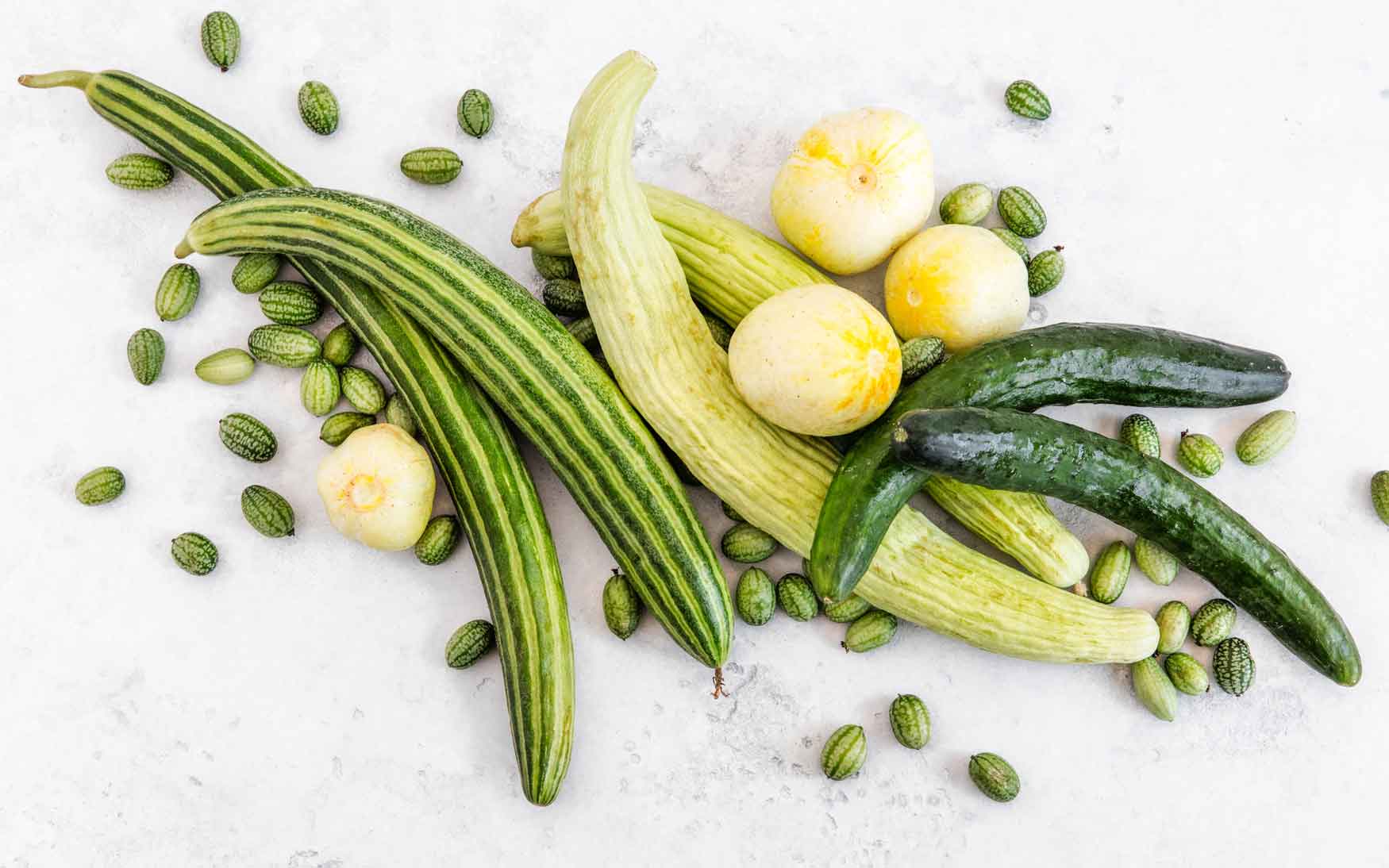 Get acquainted with different types of cucumbers